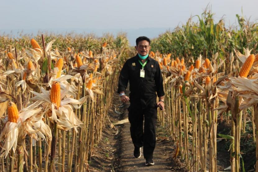 Kementerian Pertanian di bawah komando Menteri Pertanian Syahrul Yasin Limpo memiliki Program Pengembangan Kawasan Tanaman Pangan Korporasi (ProPaktani) untuk peningkatan produksi dan ekspor agar sektor pertanian makin kuat sebagai penopang perekonomian nasional.