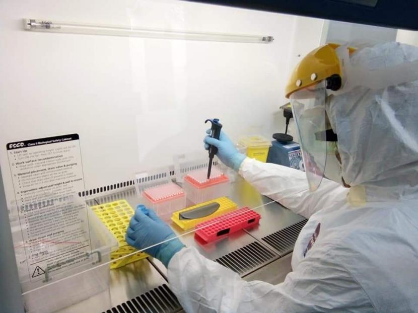 Kementerian Pertanian (Kementan) melalui Direktorat Jenderal Peternakan dan Kesehatan Hewan (Ditjen PKH) menugaskan lima Unit Pelaksana Teknis (UPT) Balai Besar Veteriner (BBVet) dan Balai Veteriner (BVet) untuk melaksanakan uji Polymerase Chain Reaction (PCR) virus Covid-19