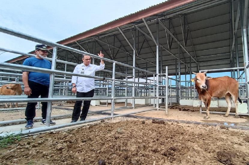 Kementerian Pertanian (Kementan) melalui Direktorat Jenderal Peternakan dan Kesehatan Hewan (Ditjen PKH) mendorong pengembangan sapi Aceh.
