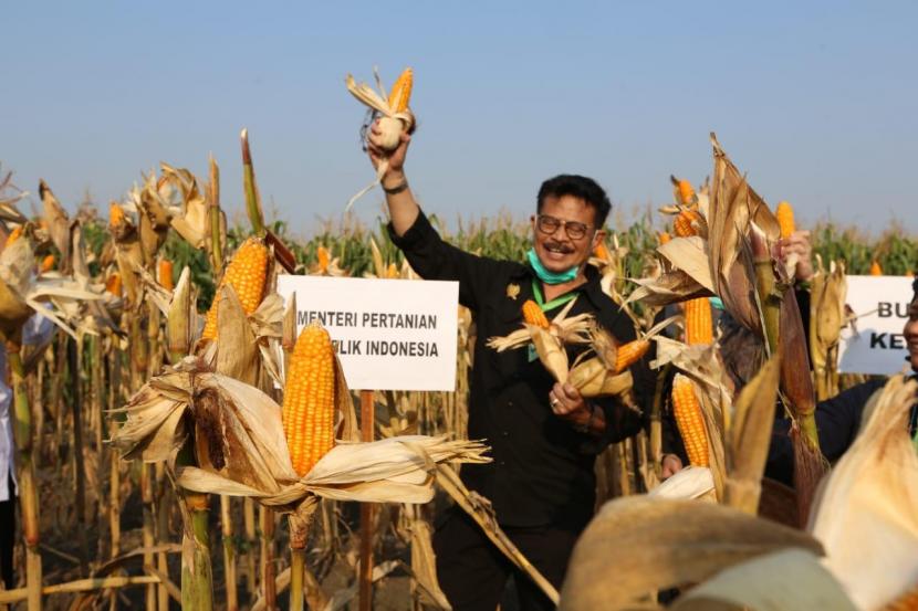 Kementerian Pertanian (Kementan) melalui Program Pengembangan Kawasan Tanaman Pangan Korporasi (ProPaktani) berupaya melakukan peningkatan produksi tanaman pangan sekaligus mendorong ekspor, salah satunya jagung. 