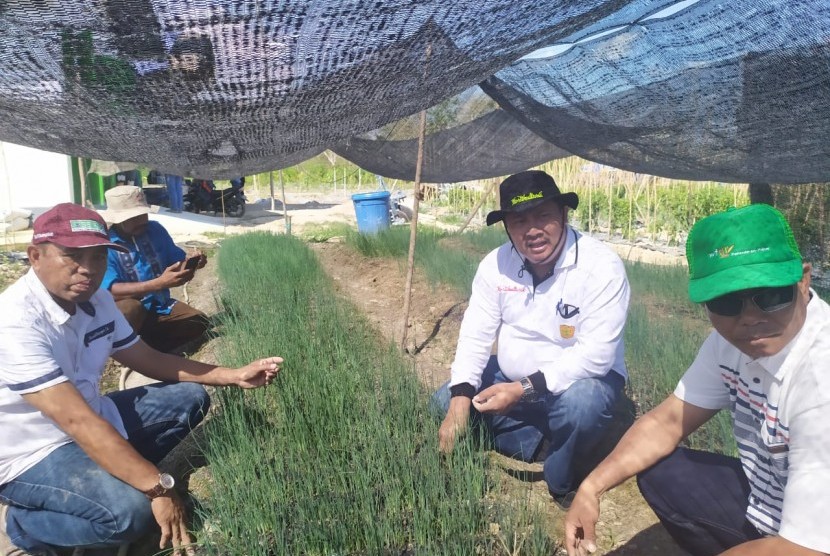 Kementerian Pertanian (Kementan) mendorong Kabupaten Konawe Selatan, Sulawesi Tenggara untuk menjadi sebagai lumbung komoditas hortikultura nasional.