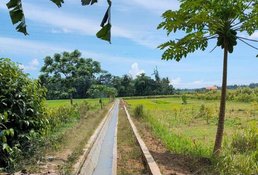 Kementerian Pertanian (Kementan) menyalurkan bantuan Rehabilitasi Jaringan Irigasi Tersier (RJIT), salah satunya diberikan untuk Kelompok Tani Sri Wangun Sari di Desa Kertawinangun, Kecamatan Mandirancan, Kabupaten Kuningan, Jawa Barat.