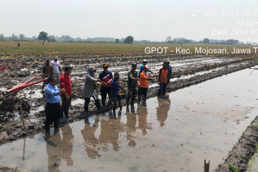 Kementerian Pertanian (Kementan) terus bergerak mencanangkan Gerakan Pompanisasi dan Olah Tanah untuk Tanam Padi (GPOT). 