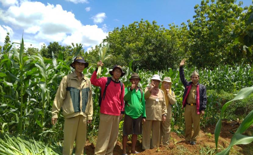 Kementerian Pertanian (Kementan) terus mendorong kegiatan pengembangan petani produsen benih jagung hibrida berbasis korporasi petani.