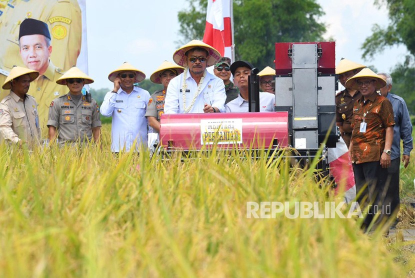 Kementerian Pertanian (Kementan) yang dikomandoi Menteri Pertanian Syahrul Yasin Limpo (SYL) terus berupaya meningkatkan investasi pada sektor pertanian. Kementan  mengupayakan pada peningkatan investasi pertanian melalui Penanaman Modal Dalam Negeri (PMDN).