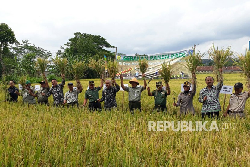 Kementerian Pertanian melalui Badan Penyuluhan dan Pengembangan Sumber Daya Manusia Pertanian kembali melakukan panen padi di Kabupaten Sleman.  Kali ini, panen padi dilakukan di Dusun Majasem, Desa Madureja, Kecamatan Prambanan, Kabupaten Sleman, DIY. Kamis (11/1). 