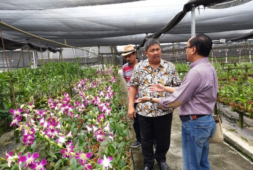 Kementerian Pertanian melalui Direktorat Jenderal Hortikultura terus mendorong pelaku bisnis anggrek untuk memperluas segmen pasarnya terutama ekspor. 