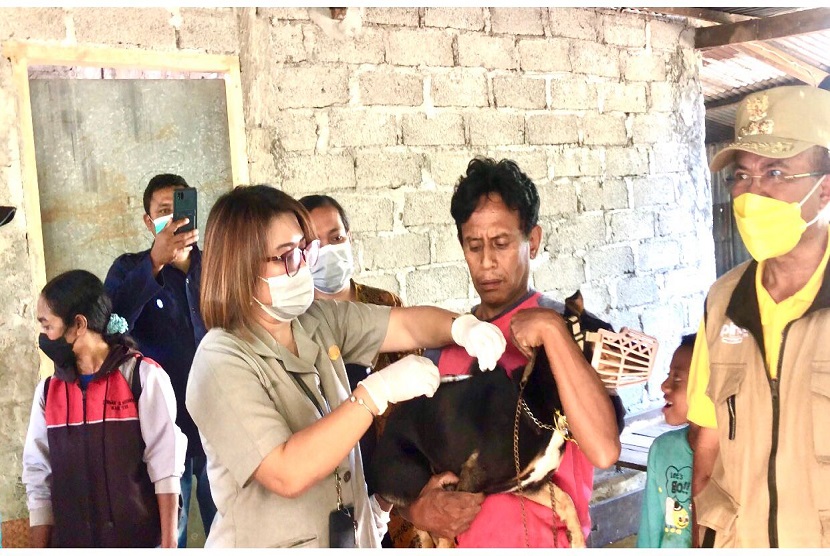 Kementerian Pertanian melalui Direktorat Jenderal Peternakan dan Kesehatan Hewan melakukan vaksinasi massal terhadap hewan anjing di Kabupaten Timor Tengah Selatan