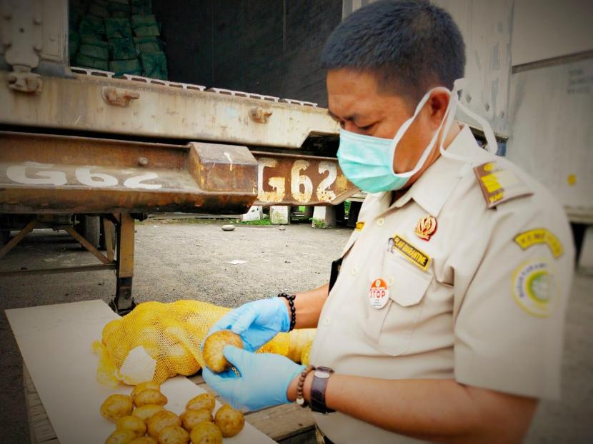 Kementerian Pertanian melalui Karantina Pertanian Belawan mencatat adanya peningkatan pengiriman produk hortikultura berupa kentang ke pasar ekspor di Singapura dan Malaysia.