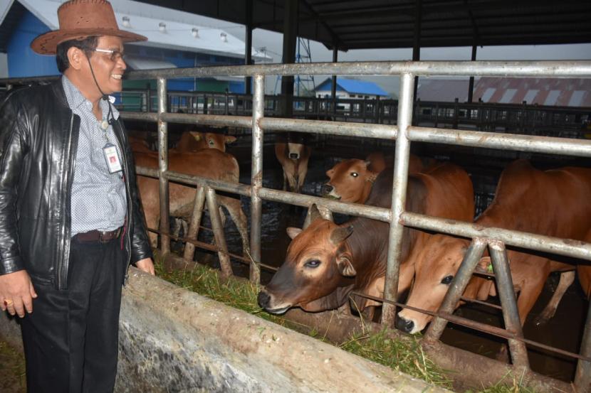Kementerian Pertanian terus memberikan apresiasi peran peternak sebagai penyumbang bahan protein asal hewan dan pendukung perekonomian nasional melalui pengurangan pengeluaran devisa negara karena impor. 