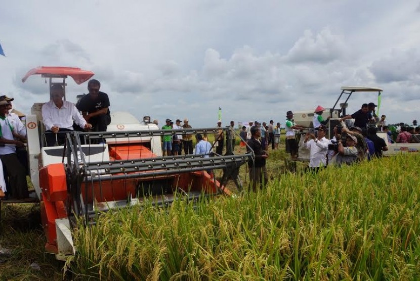 Kementrian pertanian bersama Komisi IV panen padi di Indramayu.