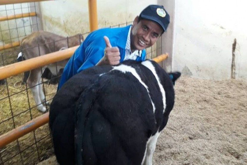 Kemetan siapkan dana Rp 20 milyar untuk kembangkan sapi Belgian Blue