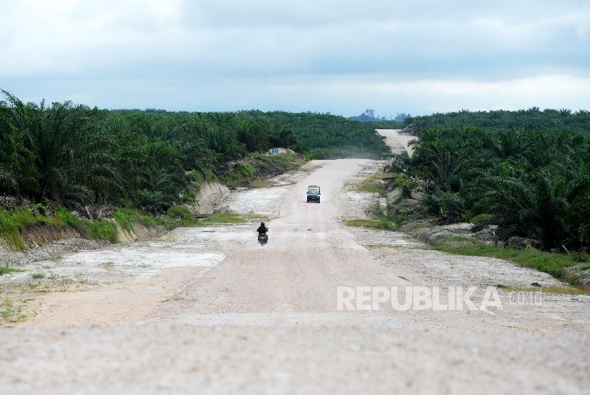  Kendaraan melintas di jalan negara Trans Kalimantan di Bengkayang, Kalimantan Barat.  (Republika/Wihdan)