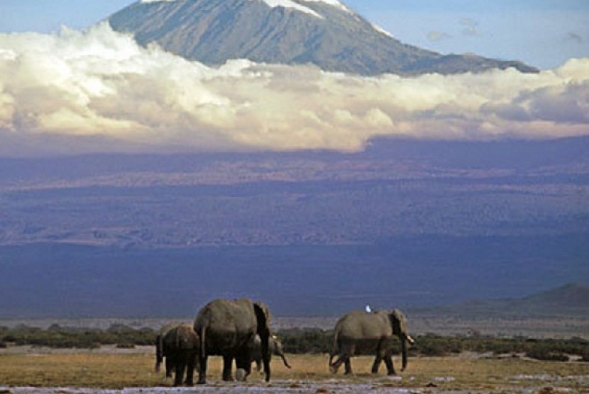 Kenya (Ilustrasi)