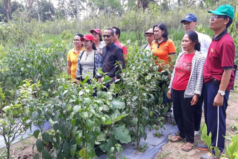 Kepala Badan Ketahanan Pangan (BKP) Kementerian Pertanian (Kementan) Agung Hendriadi saat mengunjungi Kawasan Mandiri Pangan (KMP) di Kabupaten Gianyar, Bali, Jum’at (21/9) 