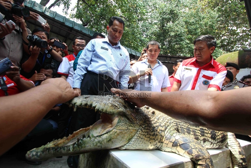 Kepala Badan Narkotika Nasional Komjen Budi Waseso.