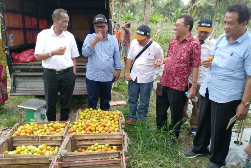 Kepala BKP Agung Hendriadi memantau penjualan produk hortikulturan tomat dan cabai merah di Desa Nidinho, Halmahera Utara, Jumat (7/12).