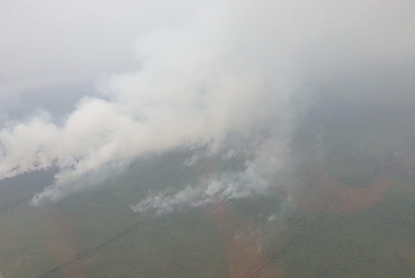 Hutan dan lahan yang terbakar di Kalimantan Tengah. (ilustrasi) 