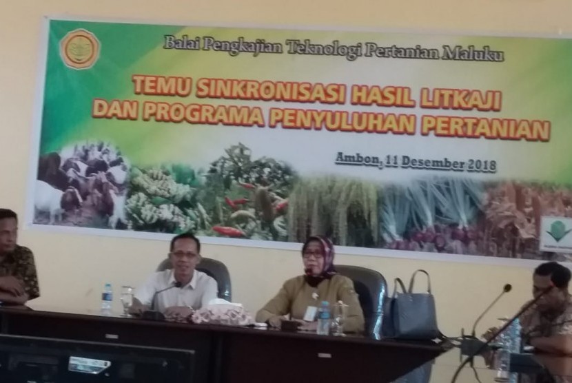 Kepala BPTP Maluku saat  pembukaan acara Temu Sinkronisasi Hasil Litkaji dan Program Penyuluhan Pertanian, Selasa (11/12). 