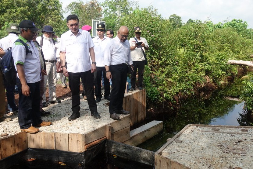 Kepala BRG Nazir Foead meninjau sekat kanal di Kecamatan Tebing Tinggi Timur, Kabupaten Kepulauan Meranti, Riau, Kamis (15/3).