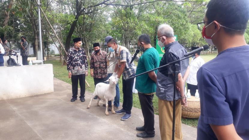 Kepala Dinas Ketahanan Pangan dan Peternakan (DKPP) Jabar Jafar Ismail, memberikan penjelasan tentang hewan kurban yang sehat.