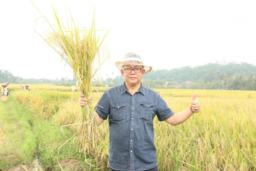 Kepala Dinas Tanaman Pangan dan Holtikultura Provinsi Jawa Barat, Hendy Jatnika