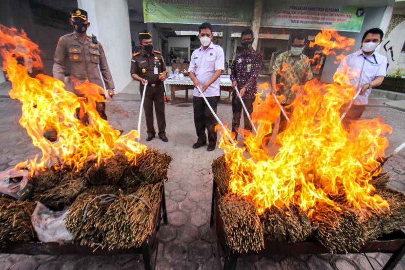 Kejaksaan Negeri bersama unsur Forkompimda membakar barang bukti narkoba (ilustrasi).