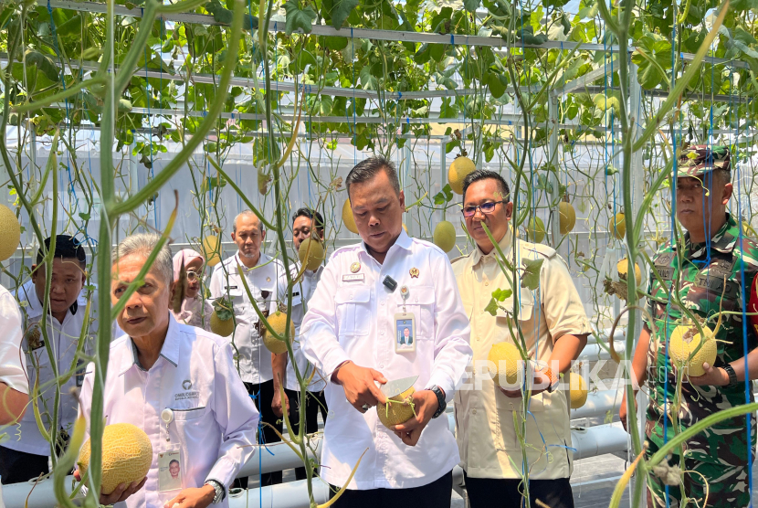 Kepala Lapas Kelas I Sukamiskin Fajar Nur Cahyono saat panen melon di Pos Kerja Green House.