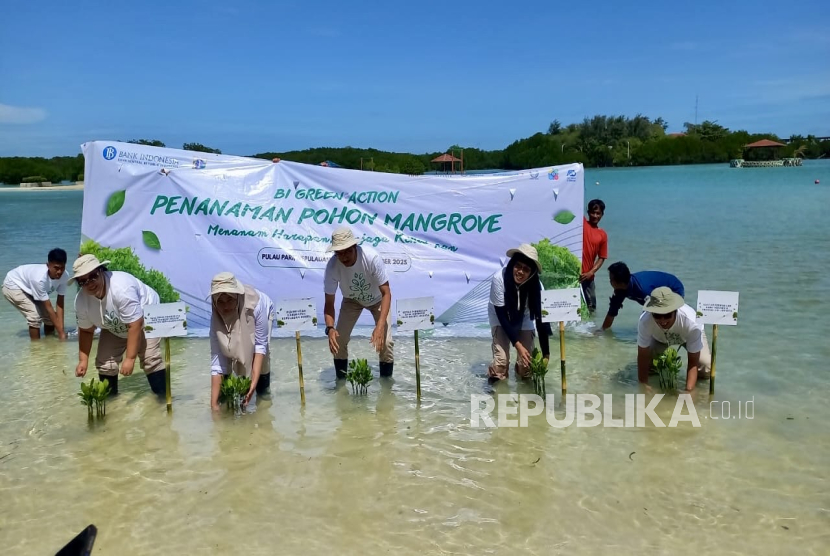 BI Jakarta Tanam 12 Ribu Mangrove di Kepulauan Seribu