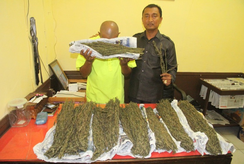 Kepala Satuan Narkoba Polres Aceh Timur AKP Ildani Ilyas (kanan) memperlihatkan barang bukti ganja kering seberat 5,1 kilogram berikut tersangka pemilik berinisial HS (35) saat gelar perkara di Polres Aceh Timur, Aceh, Senin (11/4).