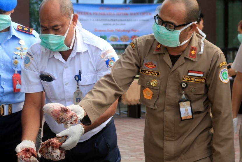 Kepala Stasiun Karantina Pertanian Ambon Jumrin (kanan) menunjukkan sampel daging anjing beku ilegal saat pemusnahan di kantor Stasiun Karantina Pertanian Ambon, Maluku, Senin (2/7).