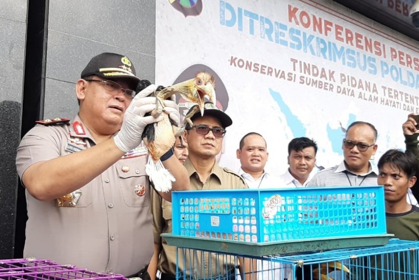 Kepolisian Daerah Jawa Timur membongkar jaringan perdagangang hewan langka, yakni aneka macam burung dan kerang dilindungi.