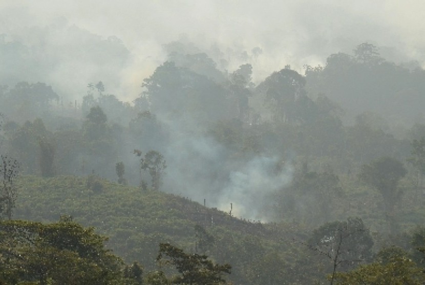 Kepulan asap akibat pembakaran lahan di kaki Gunung Nilo, Jambi, Selasa (20/10).