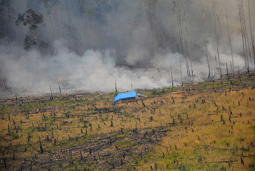   Kepulan asap dari hutan terbakar terlihat di Cagar Biosfer Giam Siak Kecil Kabupaten Bengkalis, Riau, Jumat (28/2).   (Antara/Satgas Bencana Asap Riau)