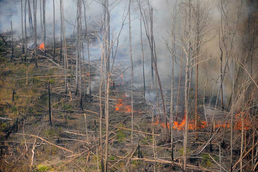   Kepulan asap dari hutan terbakar terlihat di Cagar Biosfer Giam Siak Kecil Kabupaten Bengkalis, Riau, Jumat (28/2).    (Antara/Satgas Bencana Asap Riau)