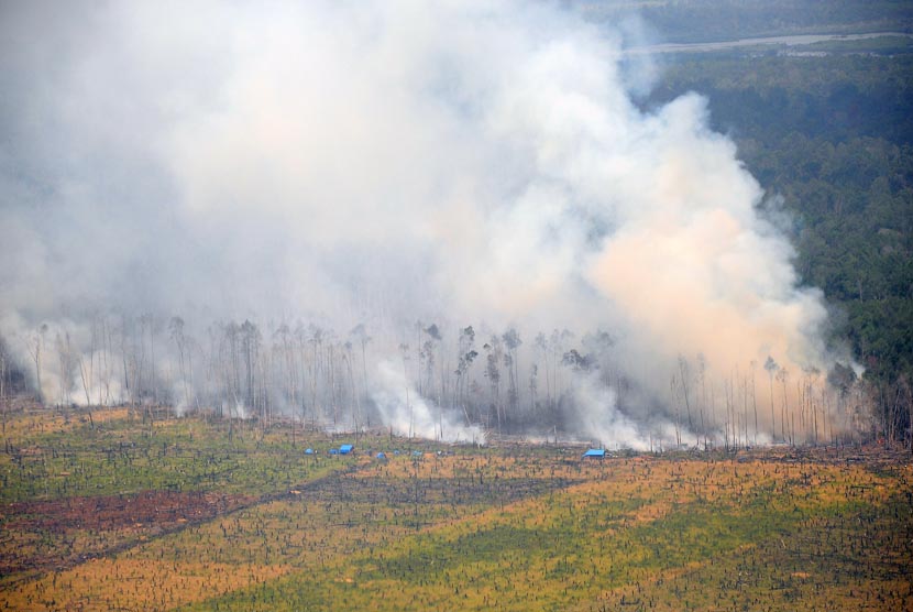  Kepulan asap dari hutan terbakar terlihat di Cagar Biosfer Giam Siak Kecil Kabupaten Bengkalis, Riau, Jumat (28/2).   (Antara/Lanud Roesmin Nurjadin)