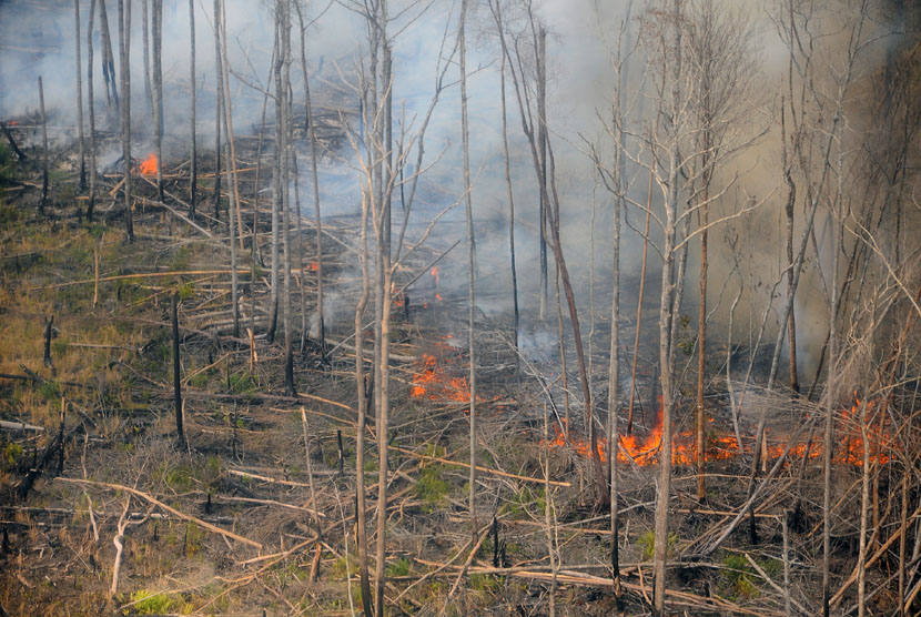  Kepulan asap dari hutan yang terbakar di Cagar Biosfer Giam Siak Kecil Kabupaten Bengkalis, Riau, Jumat (28/2).