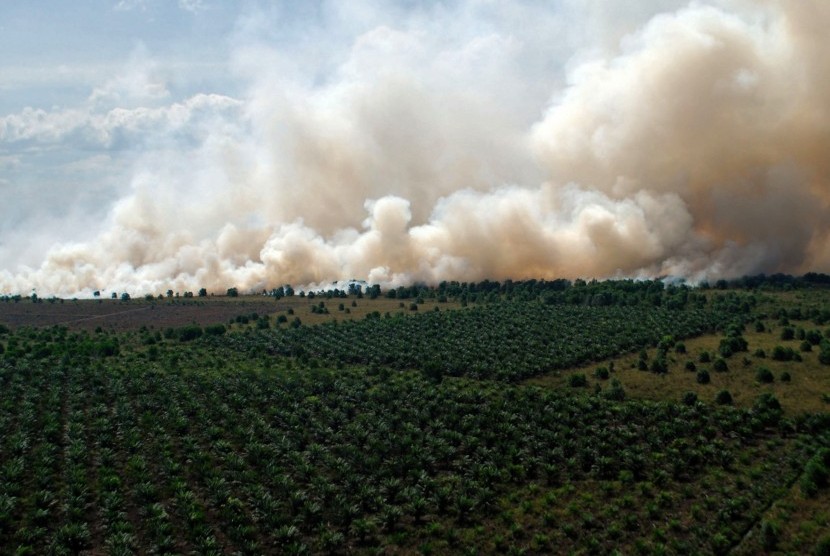 Kepulan asap membumbung di areal hutan dan lahan yang terbakar di Desa Medang Kampai, Dumai, Riau, Senin (9/8).