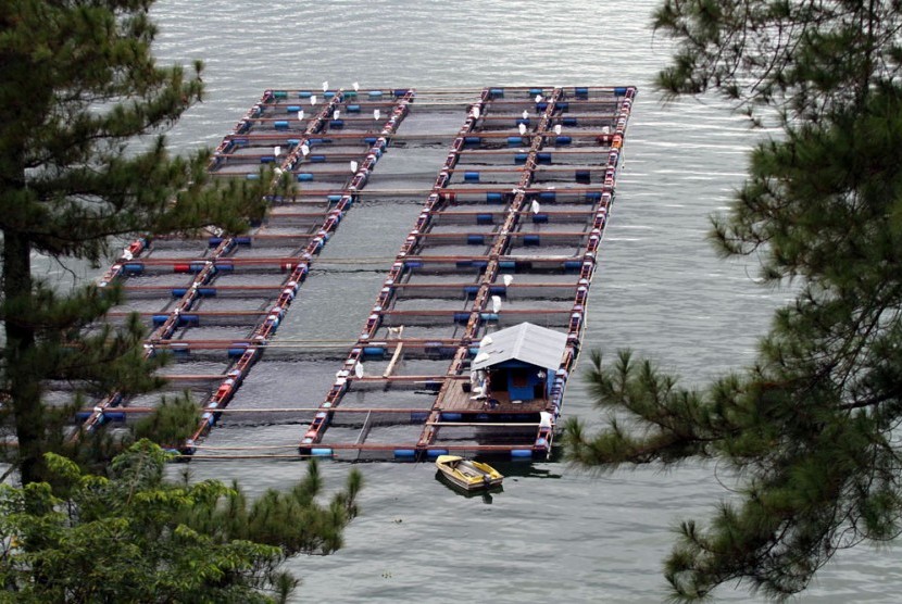 Floating net cage. (Illustration)