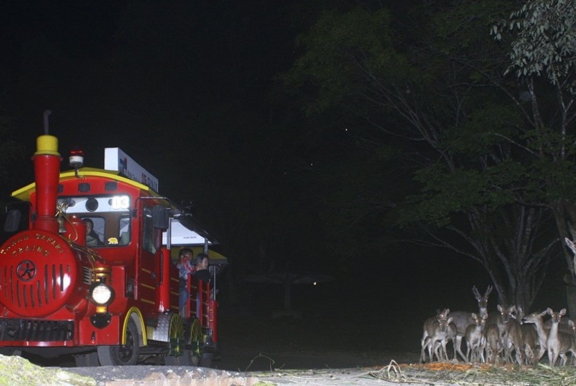 Kereta wisata malam di Taman Safari Indonesia