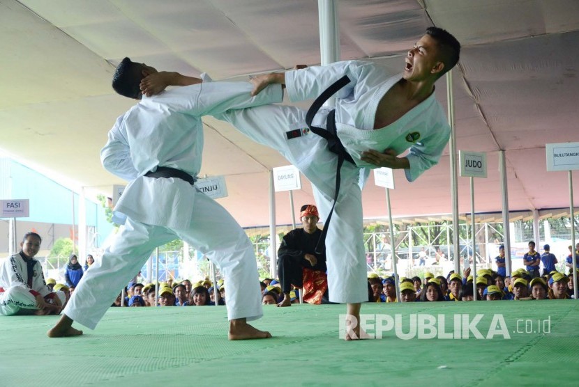 Ilustrasi cabang olahraga Karate.