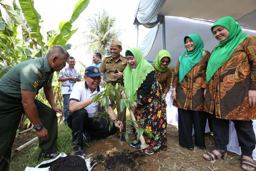 Ketua Agrianita Institut Pertanian Bogor (IPB), Hj  Enny H. Suhardiyanto SE secara simbolis melakukan penanaman 50 pohon pala.
