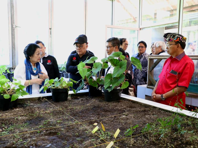 Ketua Dewan Pengarah Badan Riset dan Teknologi Nasional (BRIN) Prof. Dr. (HC) Megawati Soekarnoputri menyoroti tentang pendataan bibit tanaman di Indonesia 