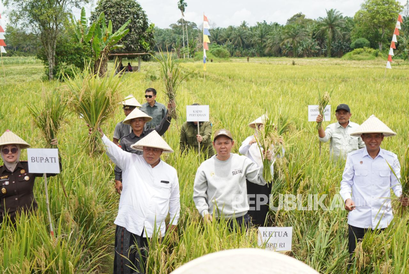 Ketua Dewan Perwakilan Daerah Republik Indonesia (DPD RI) Sultan B. Najamudin menyerahkan langsung bantuan benih jagung unggul dan alat mesin pertanian (Alsintan) kepada kelompok tani di Mukomuko. 