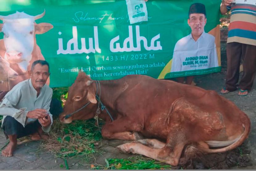 Ketua DPP PKB Ahamd Iman Sukri membagikan enam ekor sapi kurban di beberapa wilayah di Jawa Timur.