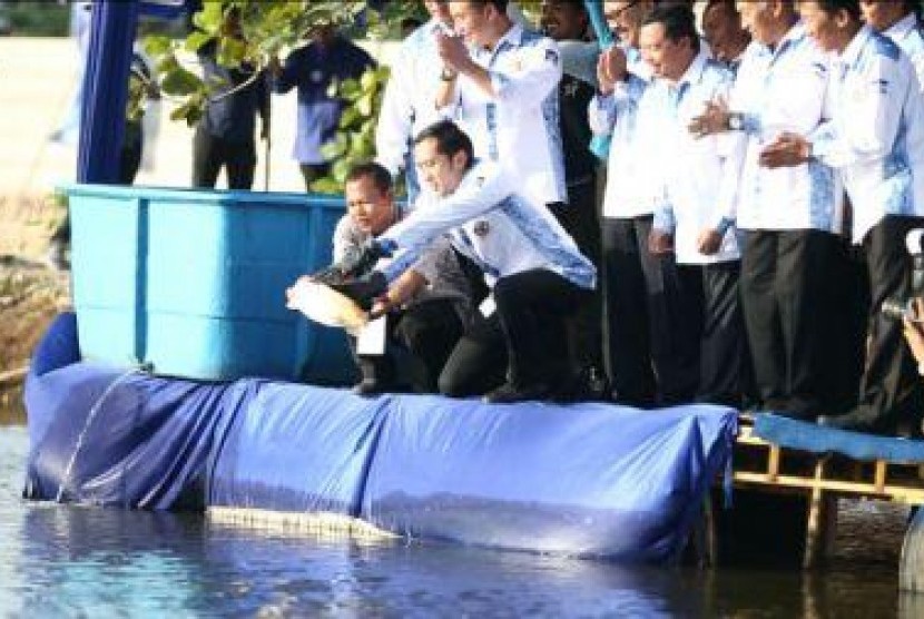 Ketua Fraksi Partai Demokrat Edhie Baskoro Yudhoyono (Ibas) melepas ikan di Situ Cipondoh Tangerang, Kamis (16/6)