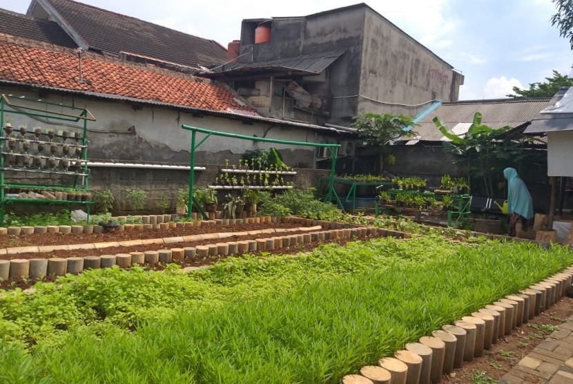 Ketua Kelompok Wanita Tani (KWT) Seruni Indah RW 10, Eka Yulianti di kebun sayur yang berada di RW 10 Kelurahan Kebayoran Lama Selatan, Jakarta Selatan, Ahad (10/2). 