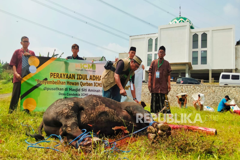 Ketua Lembaga Amil Zakat dan Shodaqoh Ikatan Cendekiawan Muslim Indonesia atau LAZIS ICMI Pusat, yang merupakan Ketua Panitia Penyelenggaraan Perayaan Hari Raya Idul Adha ICMI tahun 2025, Muzakkir Muannas Tovago, menyembelih sapi hadiah Kapolri Jenderal Polisi Listyo Sigit Prabowo pada penyembelihan hewan kurban ICMI serentak di Indonesia yang dipusatkan di Masjid Siti Aminah Hadiwardoyo, Desa Cendekia ICMI, Leuwisadeng, Kabupaten Bogor, Jawa Barat, pada H+1 Idul Adha, Sabtu (7/6/2025).