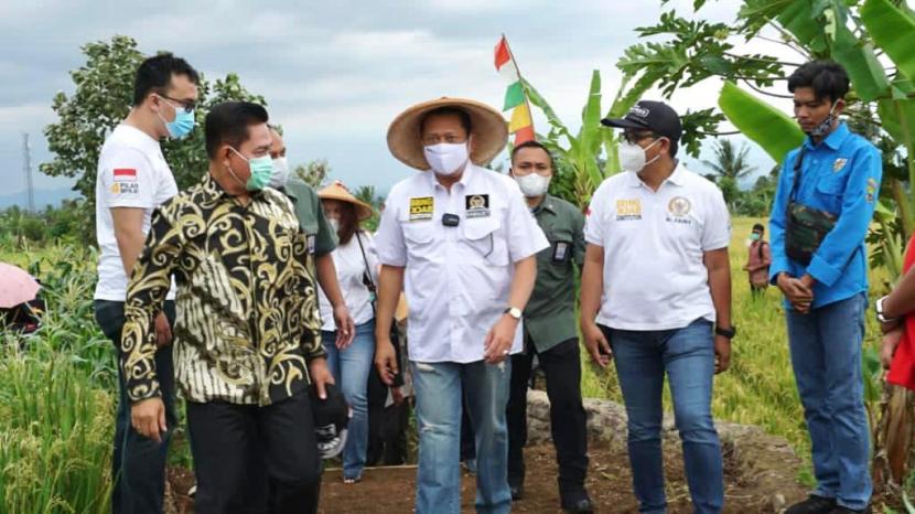  Ketua MPR RI Bambang Soesatyo bersama Gabungan Kelompok Tani (Gapoktan) Mekar Makmur dan Gerakan Keadilan Bangun Solidaritas (Gerak BS) melakukan panen raya padi di Desa Mekarsari, Cianjur, Jawa Barat.