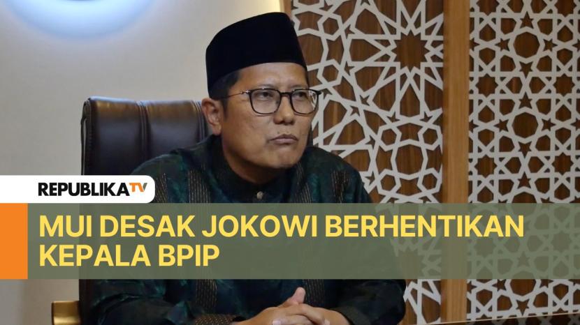 Ketua MUI Bidang Dakwah dan Ukhuwah Cholil Nafis.